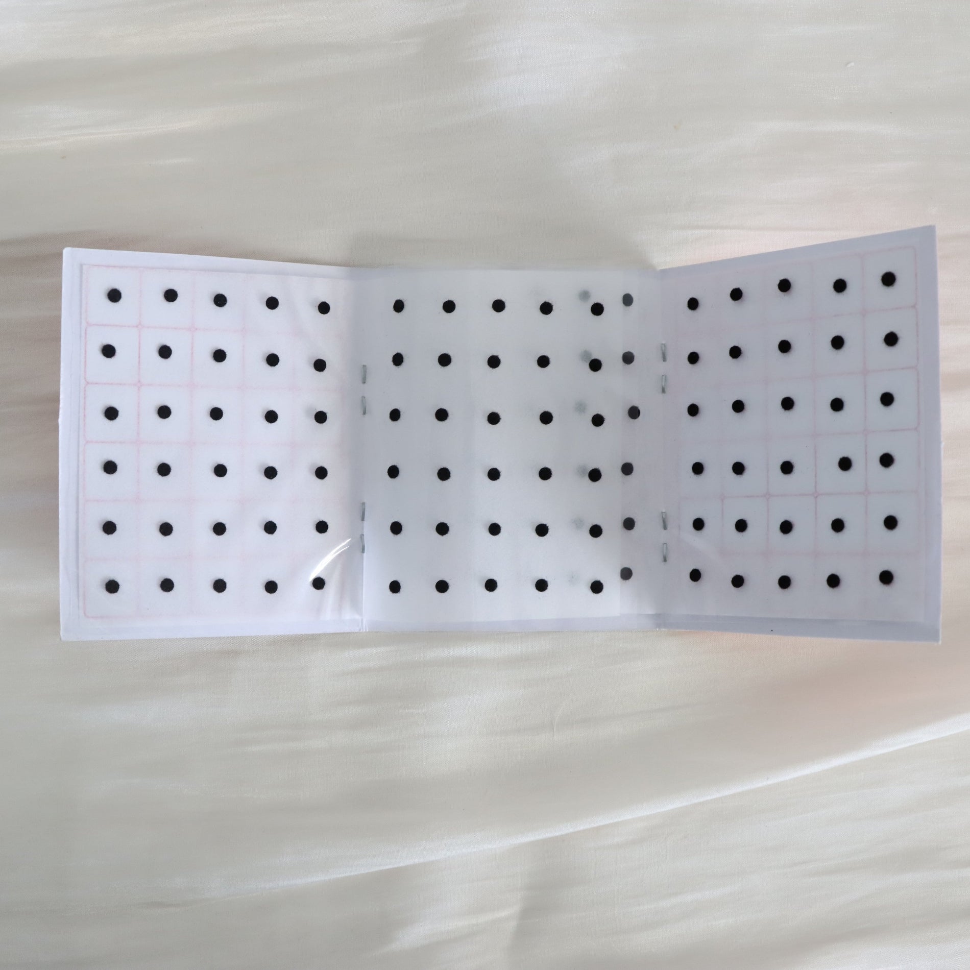 Black Bindi Booklet