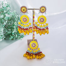 Load image into Gallery viewer, Reeta Earring and Tikka Set
